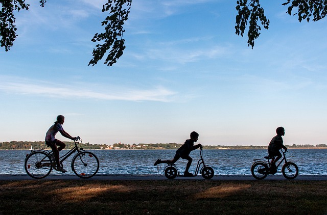 Låtar som handlar om cyklar